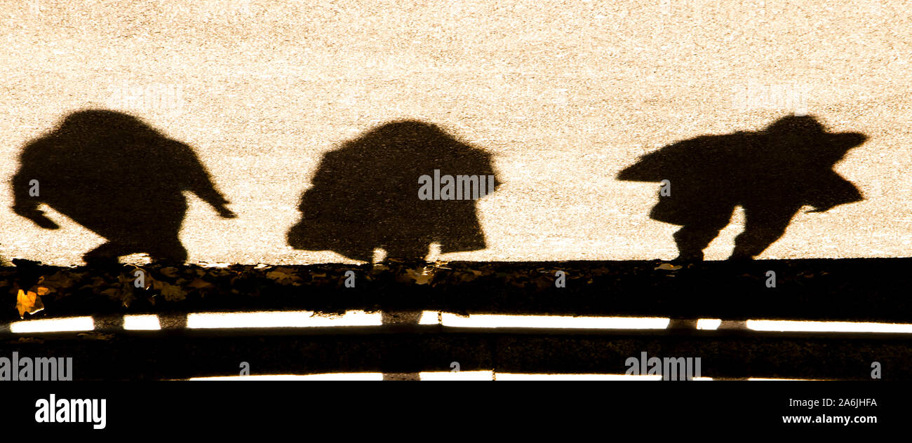 Abstract sfocata autunno ombra silhouette di thrre persone su asfalto scale Foto Stock