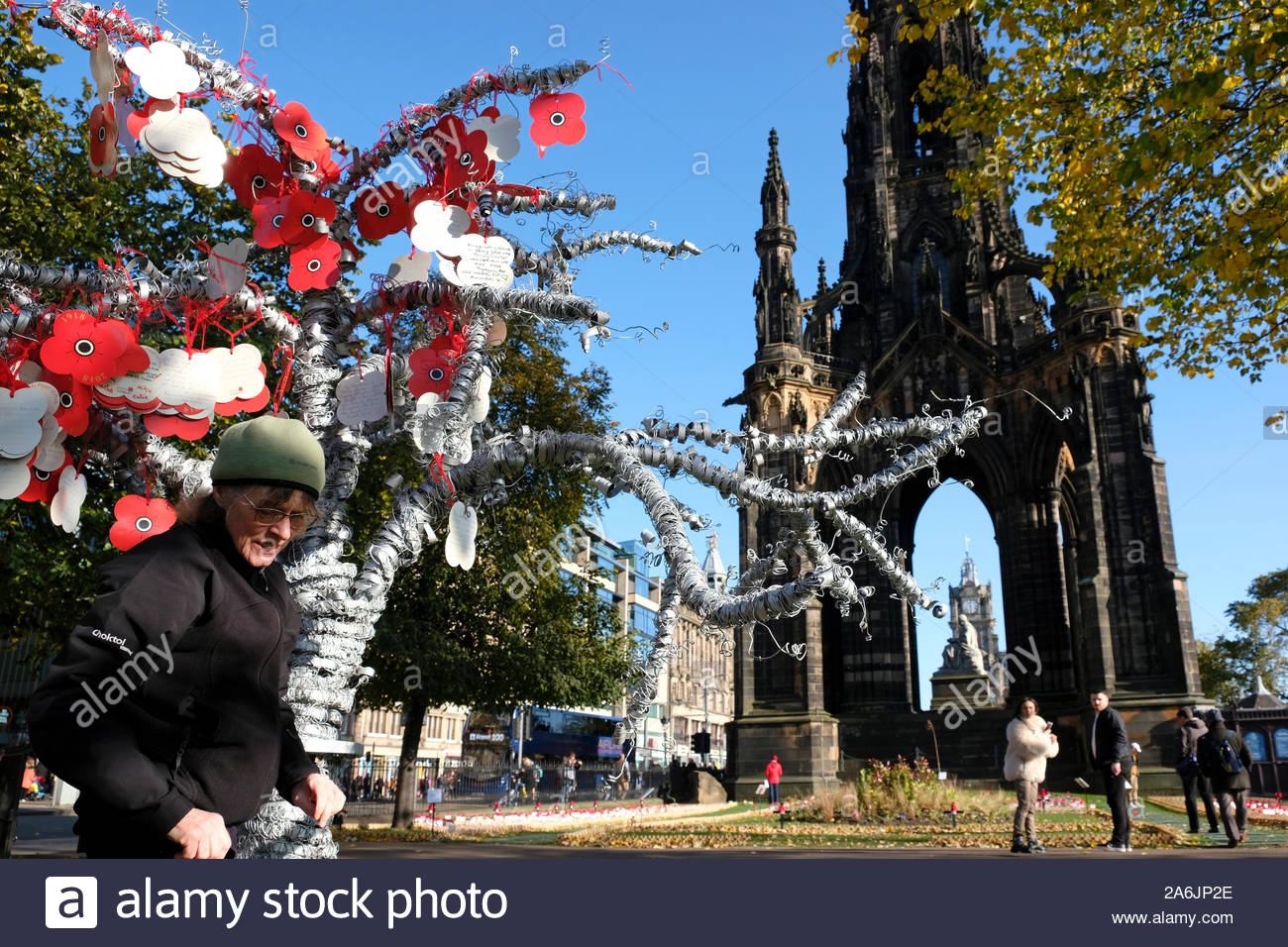 Edimburgo, Scozia, Regno Unito. 27 ott 2019. Il papavero Scozia appello, papaveri di essere appeso ad un albero nel Giardino della Rimembranza in Princes Street Gardens in preparazione per il ricordo di domenica. Walter Scott Monument visibile. Credito: Craig Brown/Alamy Live News Foto Stock