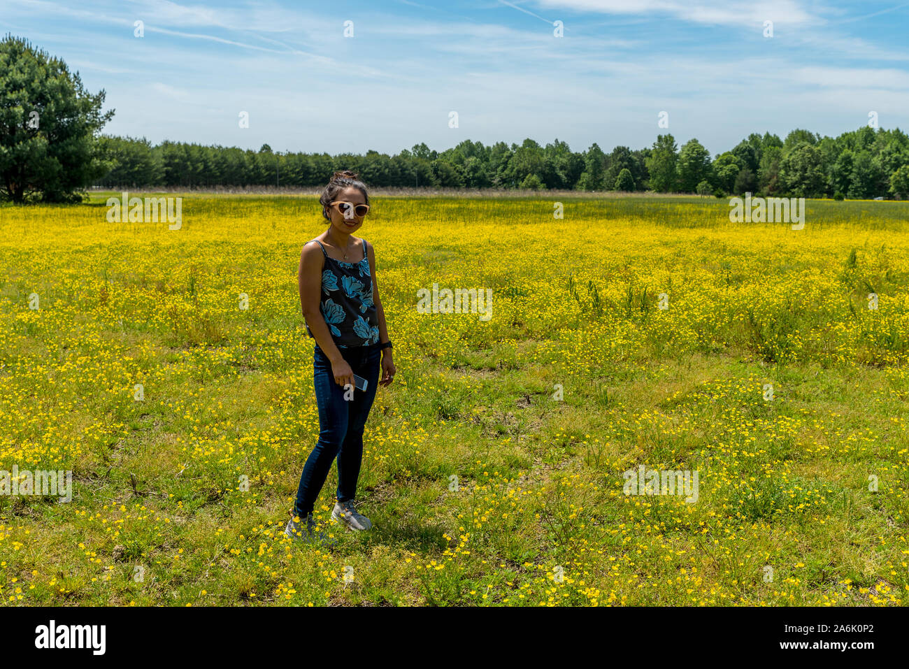 Donna asiatica con occhiali da sole in piedi nel campo di grandi dimensioni con fiori di colore giallo e di alberi in background Foto Stock