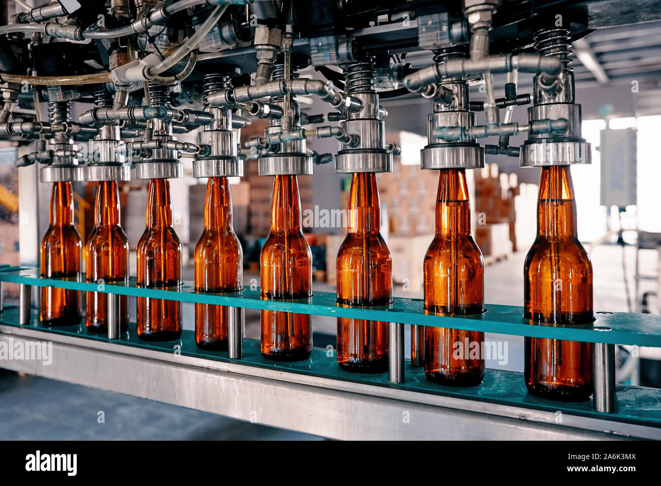 Bottiglie di birra il riempimento sul nastro trasportatore nella fabbrica di birra Foto Stock