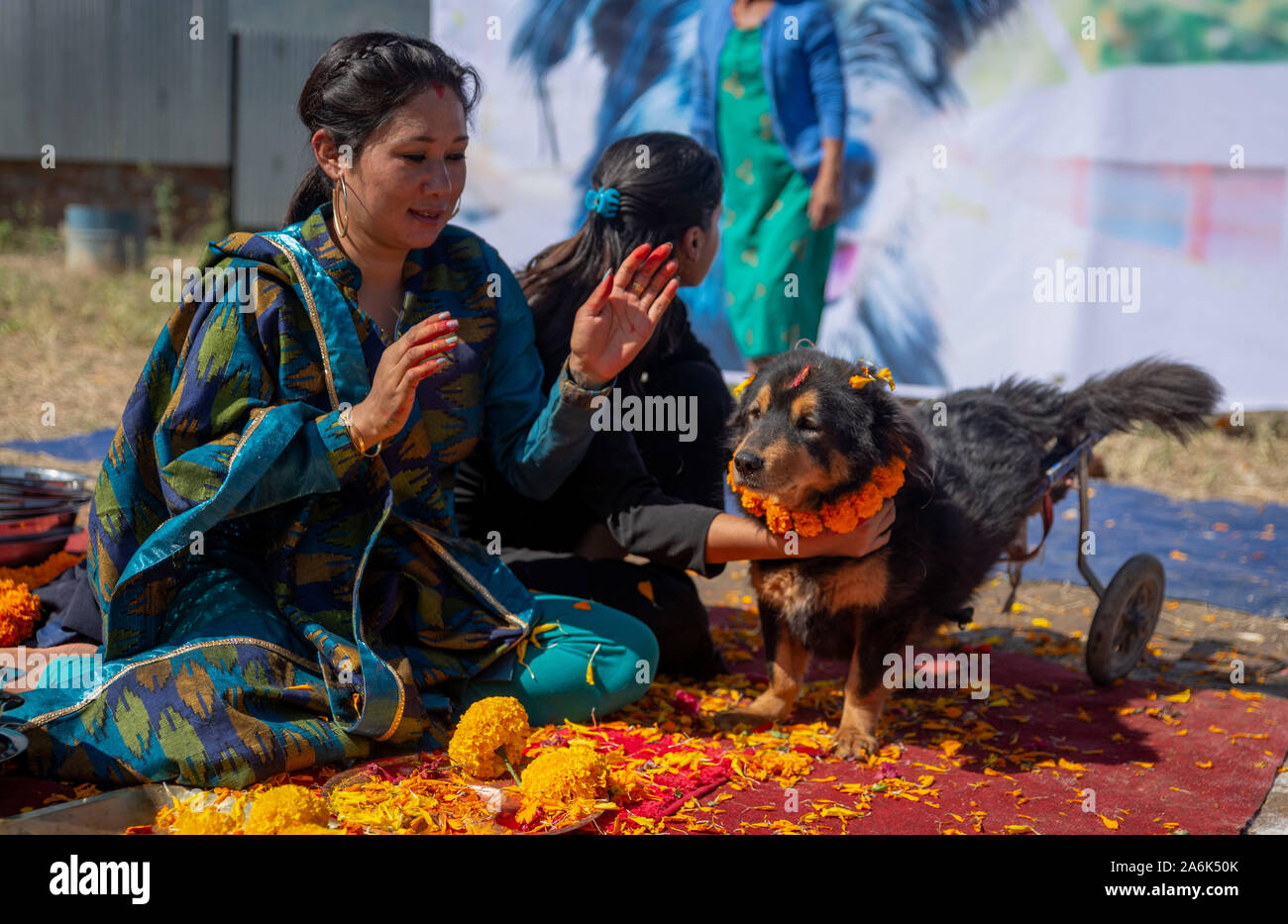 Lalitpur, Nepal. 27 ott 2019. Una donna si applica la ghirlanda di un cane durante il festival.Tihar è è una 5 giorni di festival indù in cui il popolo nepalese culto cane nella seconda giornata del festival tihar è anche noto come kukur puja. Credito: SOPA Immagini limitata/Alamy Live News Foto Stock