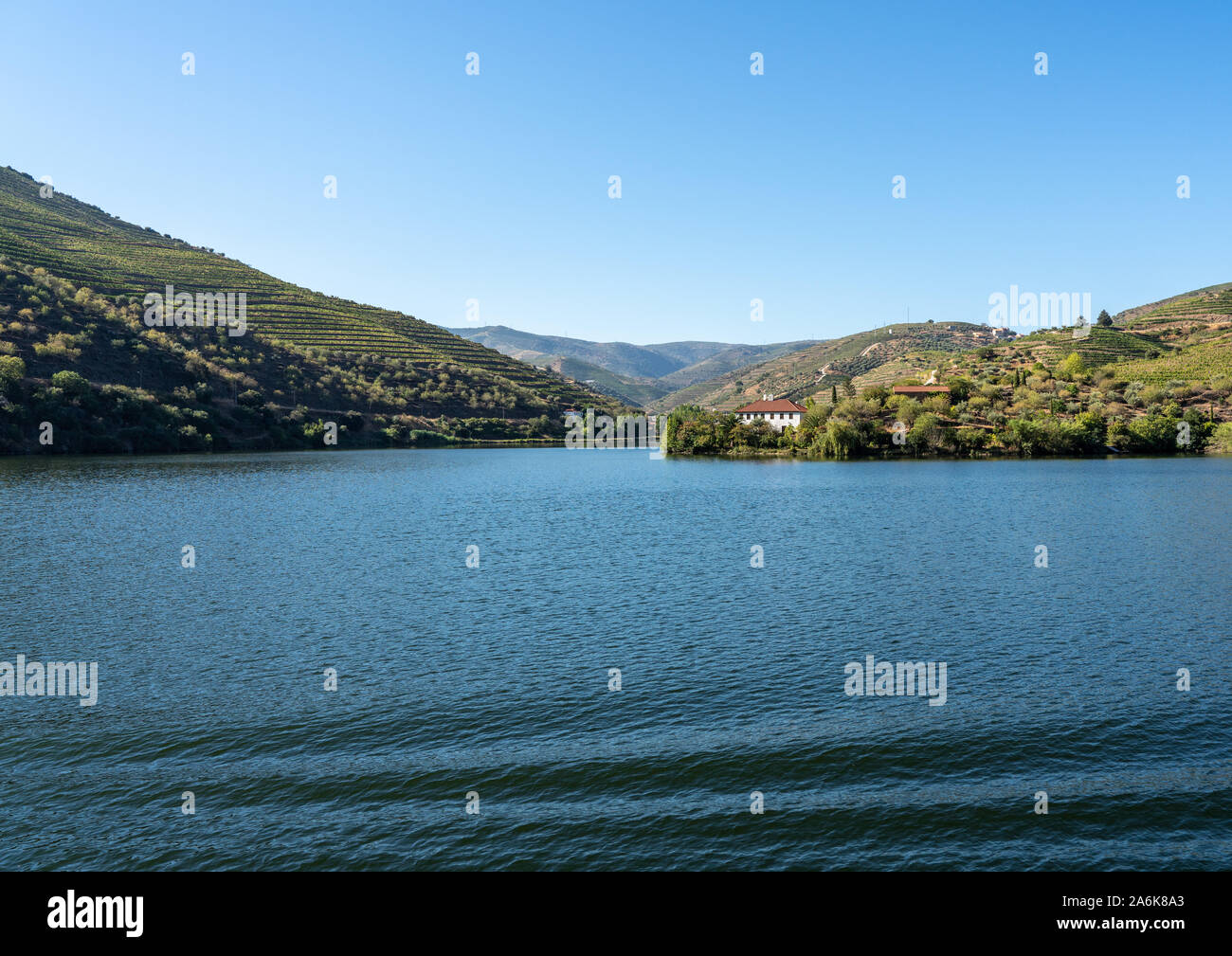 Linea di vigneti Le colline ad una ampia sezione del fiume Douro in Portogallo Foto Stock