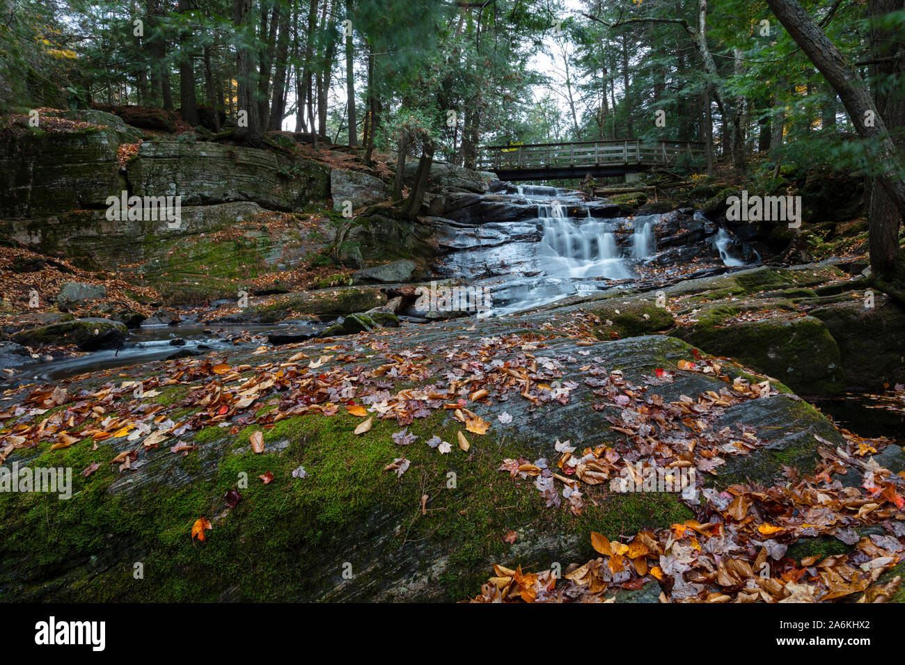 Potts cade in autunno, nascosto in Bracebridge, Ontario. Foto Stock