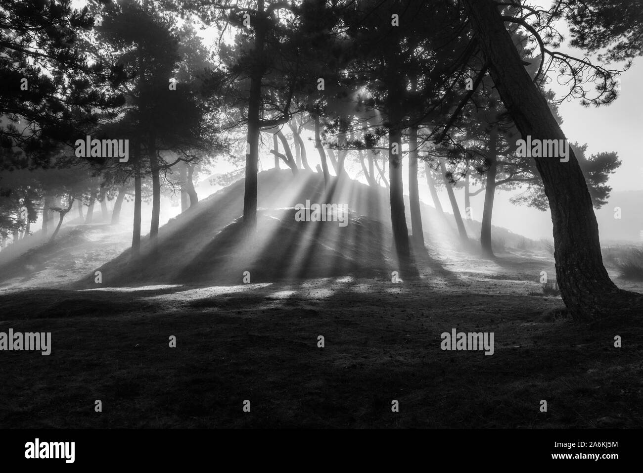 Incredibile pezzata luce come il sole i flussi attraverso gli alberi in una nebbiosa mattina, paesaggi DEL REGNO UNITO Foto Stock