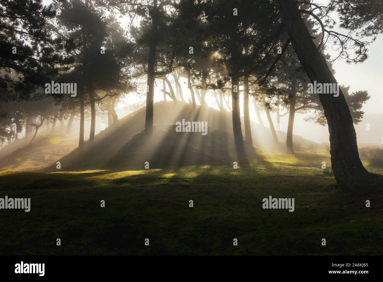 Incredibile pezzata luce come il sole i flussi attraverso gli alberi in una nebbiosa mattina, paesaggi DEL REGNO UNITO Foto Stock