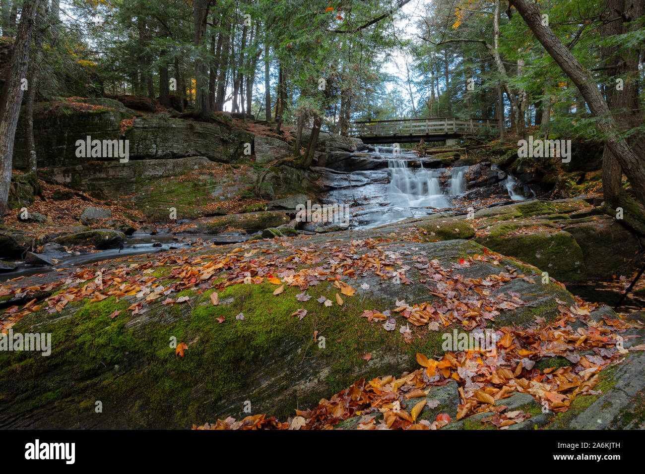 Potts cade in autunno, nascosto in Bracebridge, Ontario. Foto Stock