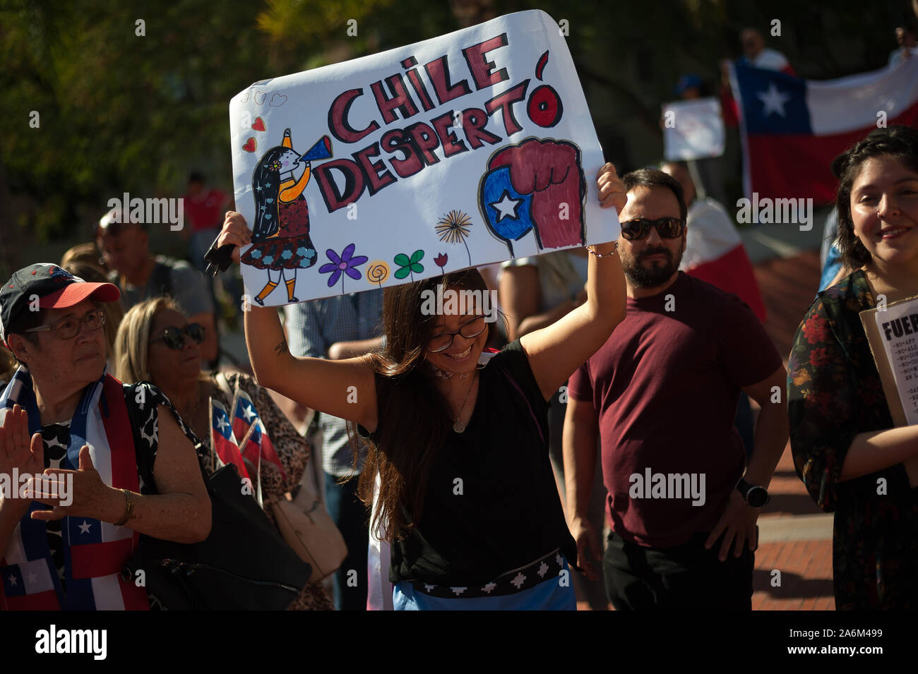 Un manifestante detiene una targhetta che dice: Cile il risveglio come lei prende parte durante la dimostrazione.cileni protesta a sostegno dei loro compatrioti e contro le misure economiche da parte del governo di Sebastian Pinera. Foto Stock