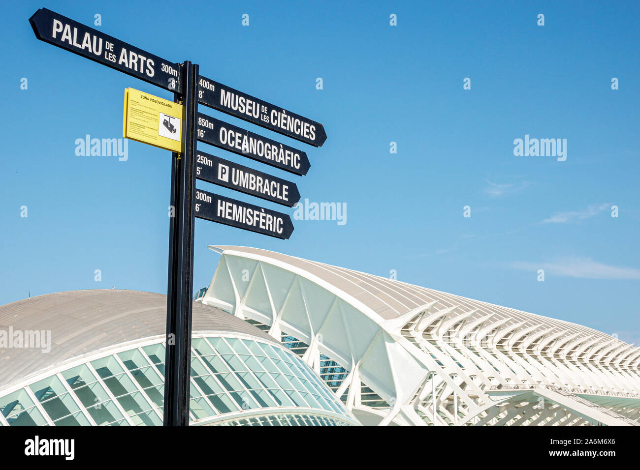 Valencia Spagna,las Artes y las Ciencias,Città delle Arti e delle Scienze,Museo della Scienza Principe Felipe Prince Philip,Santiago Calatrava,architettura,esterno, Foto Stock