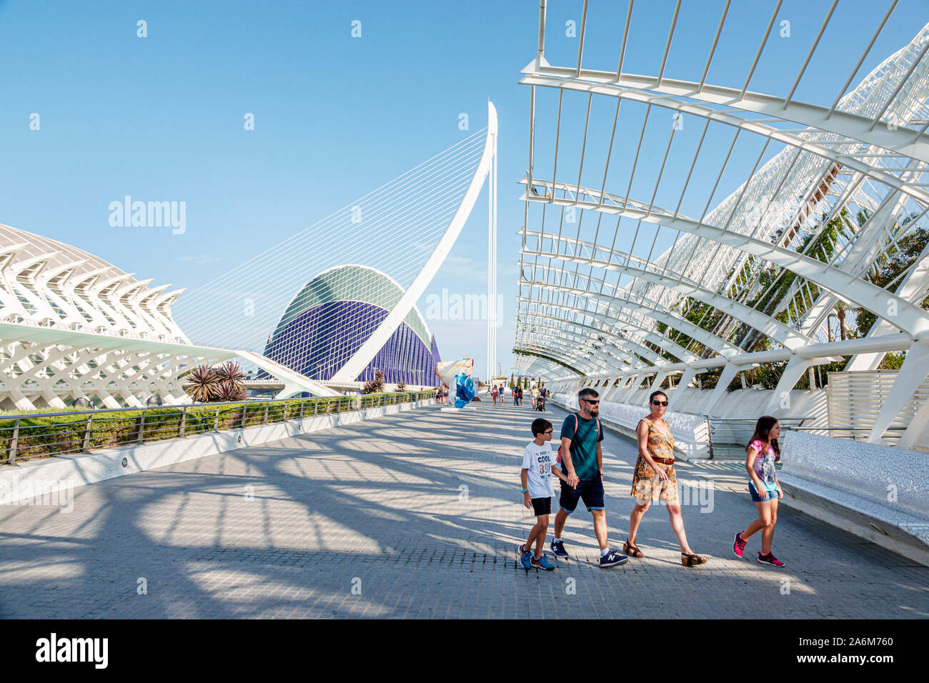 Valencia Spagna,las Artes y las Ciencias,Città delle Arti e delle Scienze,Museo della Scienza Principe Felipe Prince Philip,l'Umbracle,Santiago Calatrava,architectur Foto Stock