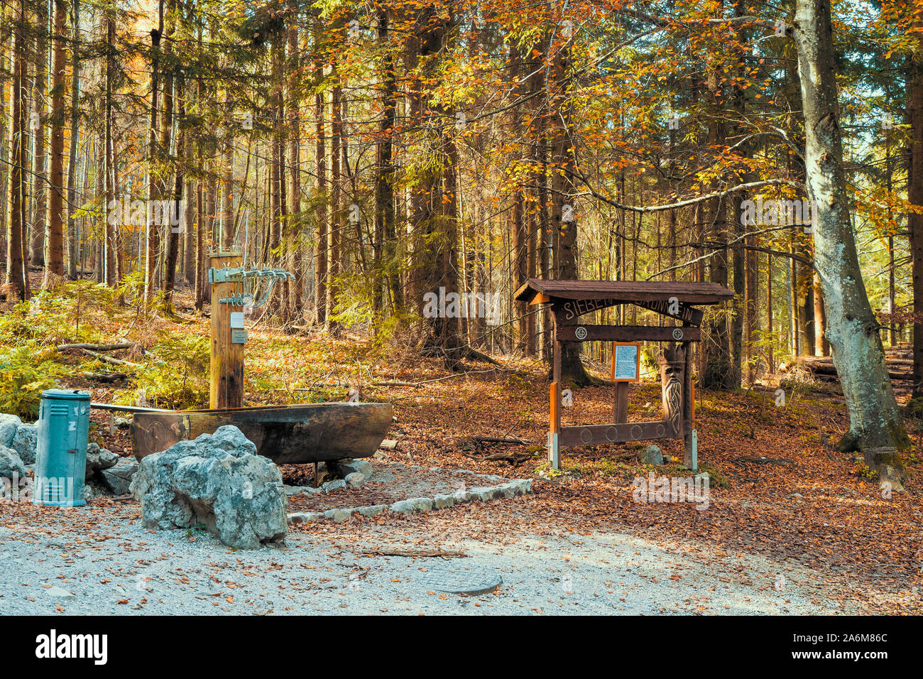 Molte fiabe e leggende si intrecciano intorno a questa posizione remota chiama 'Siebenbrünnlein', nel profondo della foresta sulla sommità del Grünberg, OÖ, Austria Foto Stock