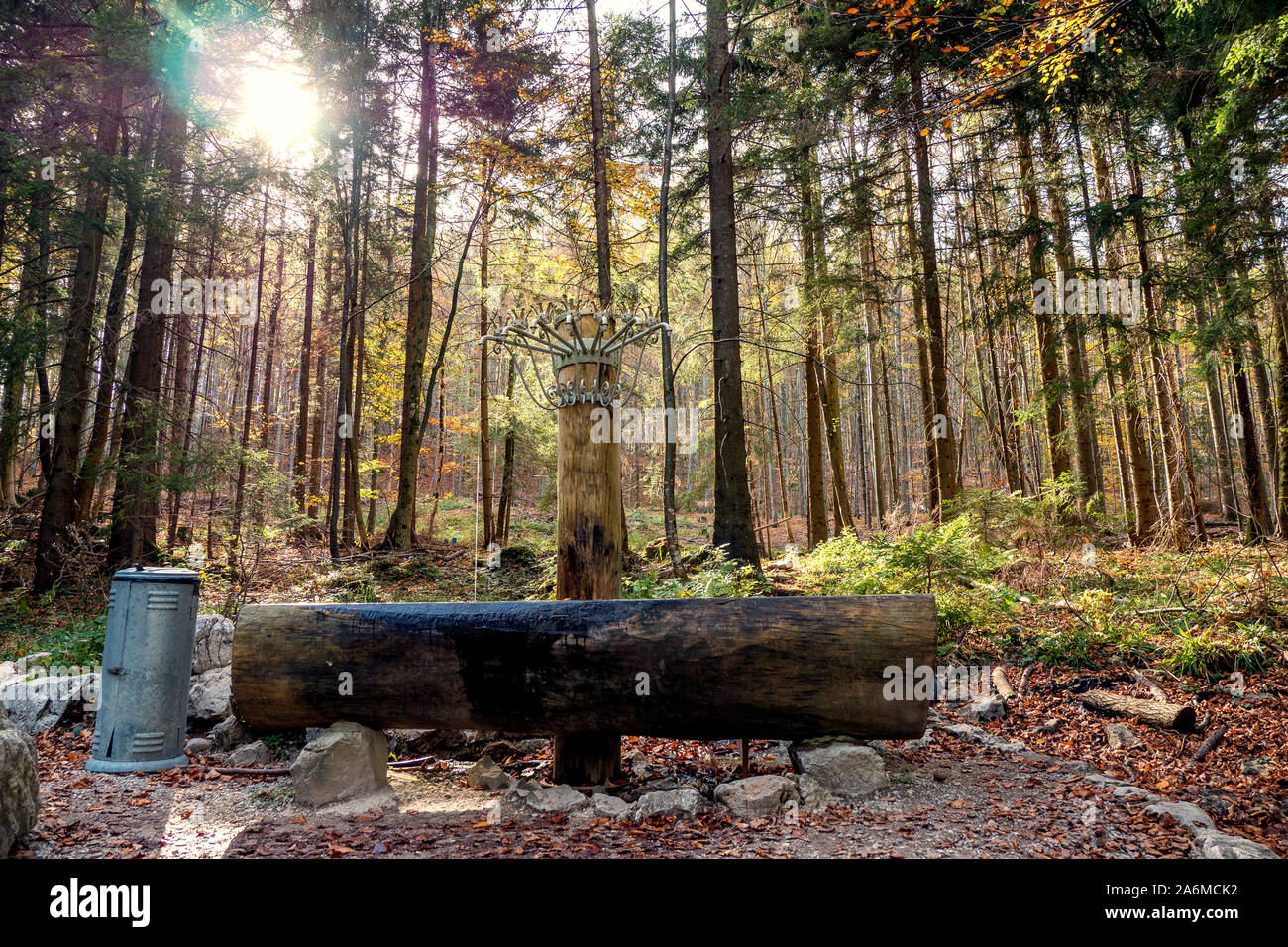 Molte fiabe e leggende si intrecciano intorno a questa posizione remota chiama 'Siebenbrünnlein', nel profondo della foresta sulla sommità del Grünberg, OÖ, Austria Foto Stock