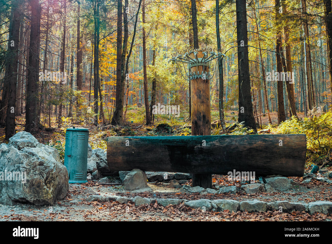 Molte fiabe e leggende si intrecciano intorno a questa posizione remota chiama 'Siebenbrünnlein', nel profondo della foresta sulla sommità del Grünberg, OÖ, Austria Foto Stock