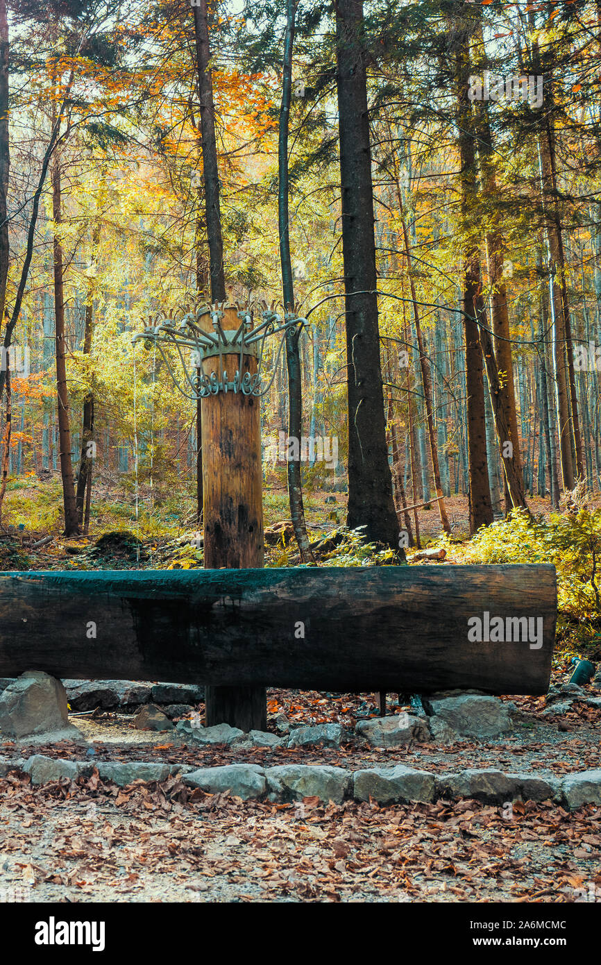 Molte fiabe e leggende si intrecciano intorno a questa posizione remota chiama 'Siebenbrünnlein', nel profondo della foresta sulla sommità del Grünberg, OÖ, Austria Foto Stock