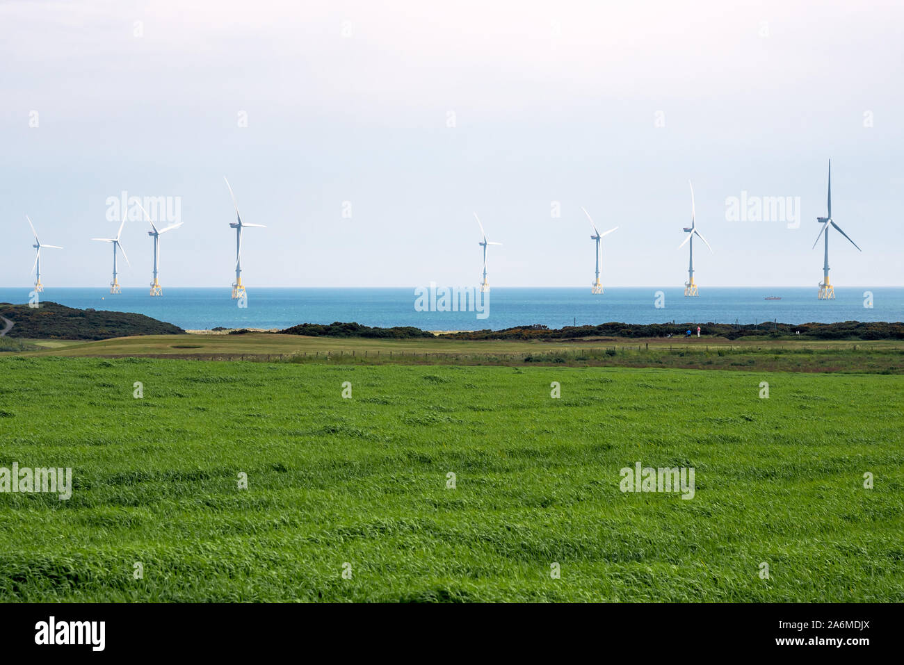 Sulle turbine eoliche offshore lungo la costa della Scozia. Campo coltivato è in primo piano. Foto Stock