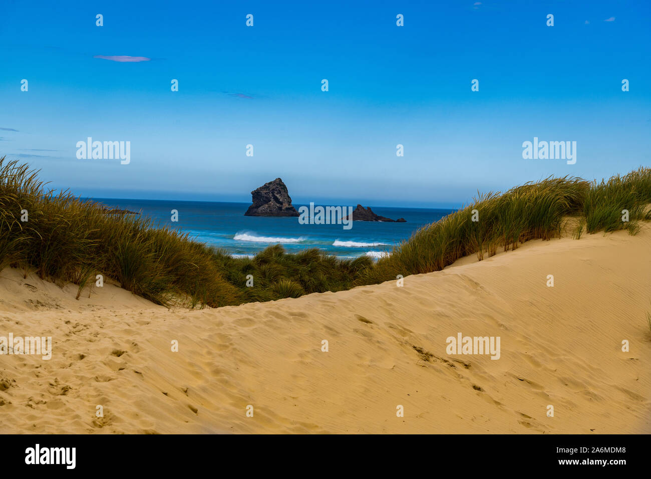 Un bel paesaggio di una spiaggia di sabbia in Nuova Zelanda Foto Stock