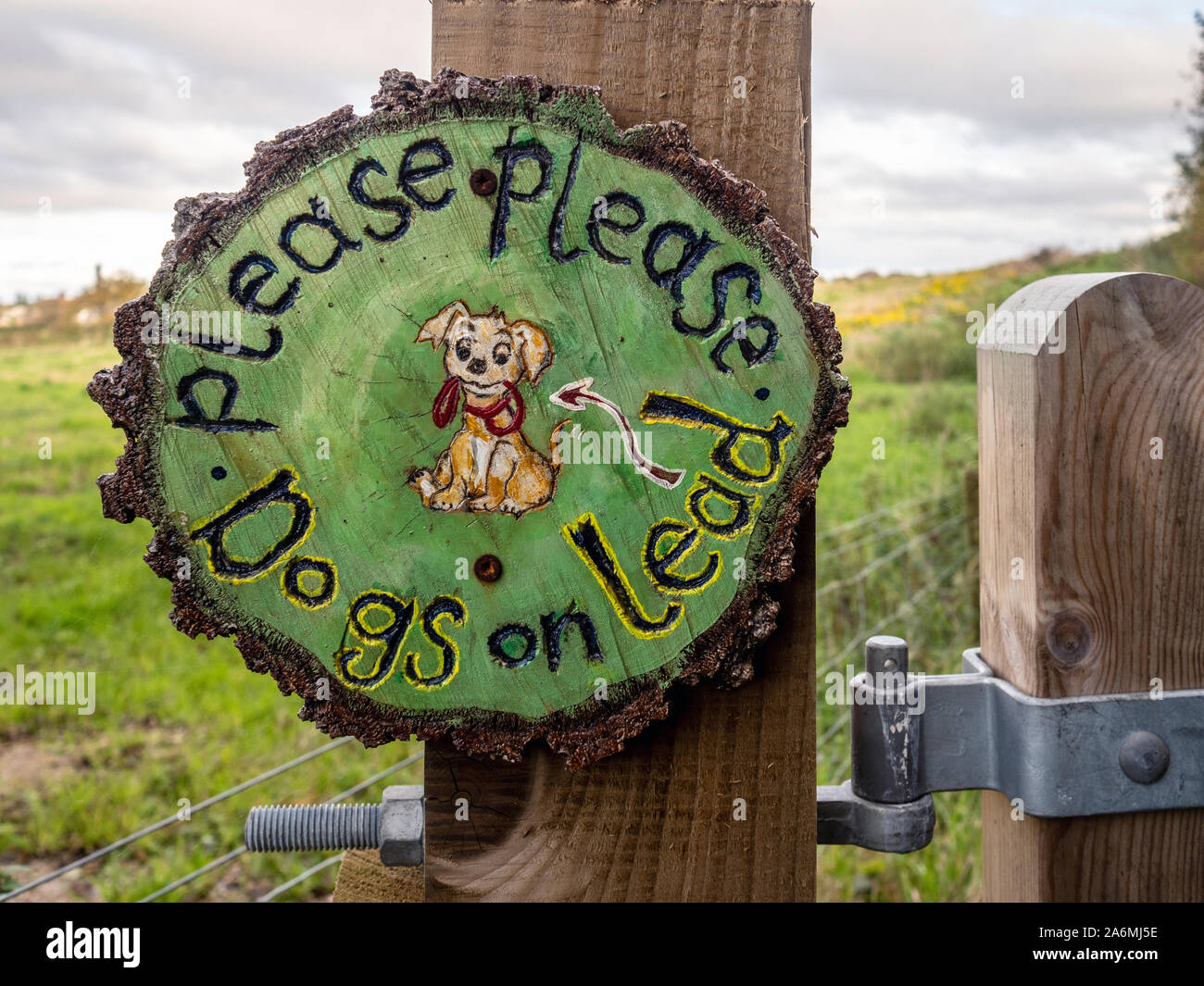 Cani su segno di piombo, Lancaster, Lancashire, Inghilterra, Regno Unito. Foto Stock