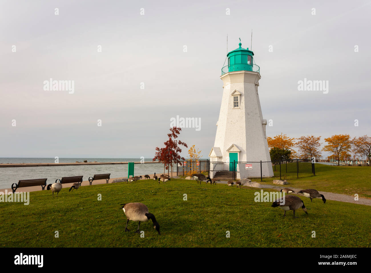St.Catherines, Ontario, Canada - 26 Ottobre 2019: Port Dalhousie di St.Catherines in autunno con oche canadesi. Foto Stock