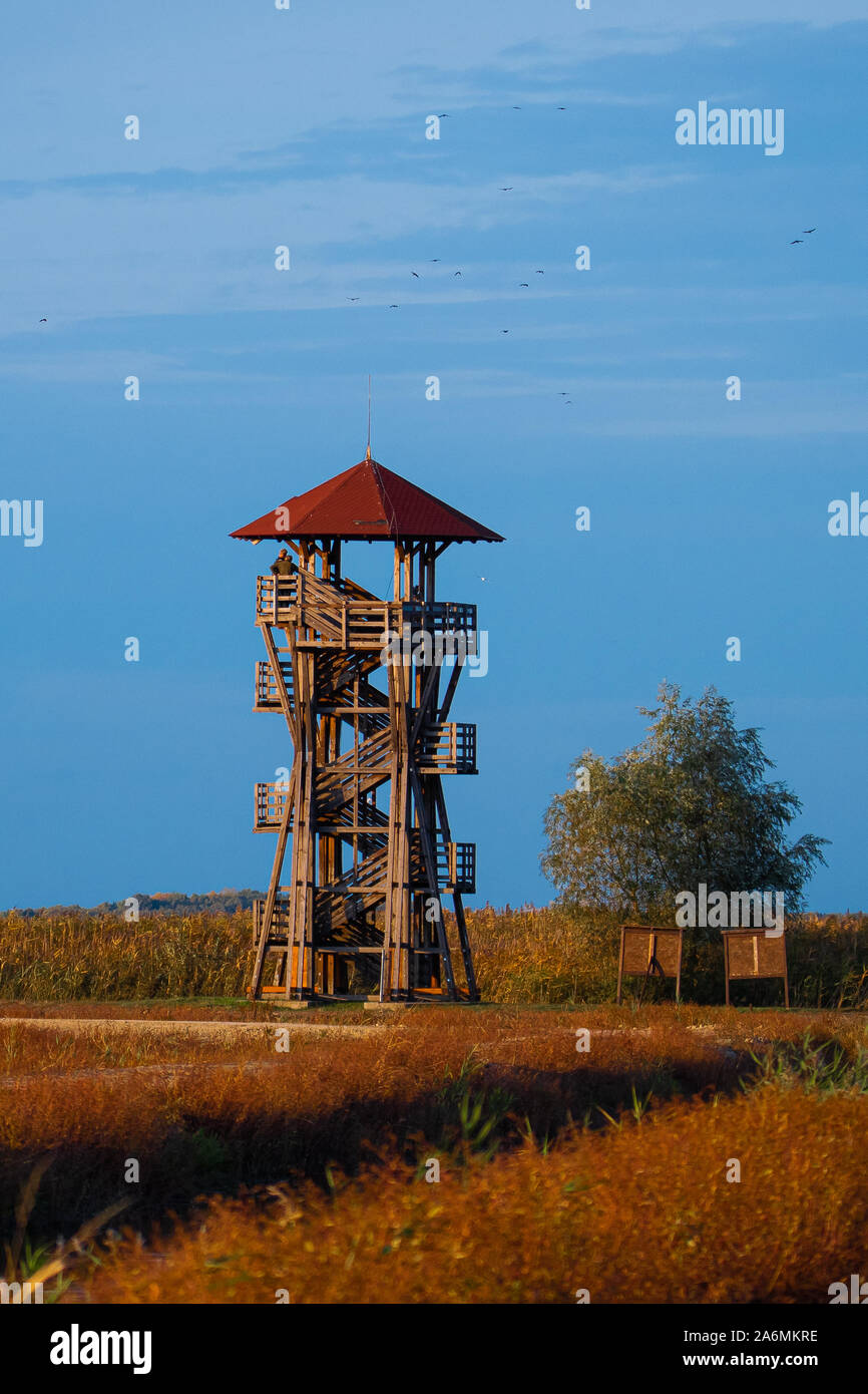Birdwatching tower, Hortobagy Parco Nazionale. Ungheria. Foto Stock