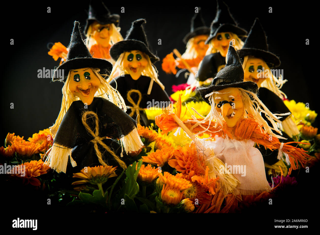 Halloween streghe con fiori da giardino contro uno sfondo nero Foto Stock