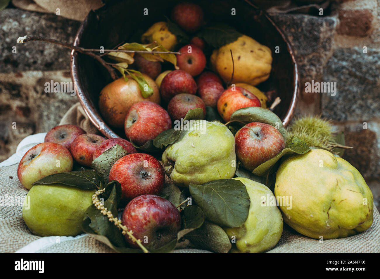 Assortimento di autunno raw stagionali di frutta fresca Foto Stock