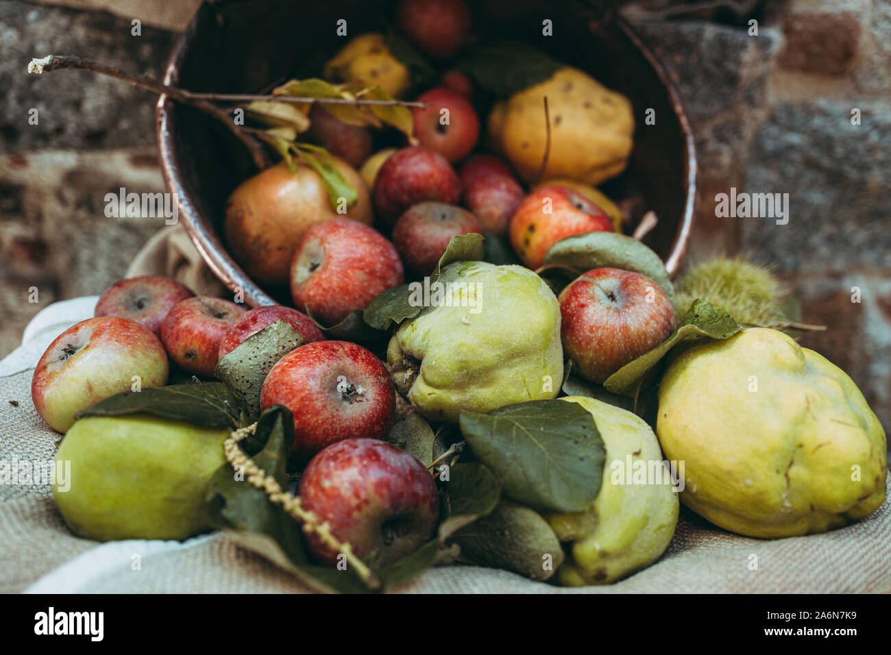 Assortimento di autunno raw stagionali di frutta fresca Foto Stock