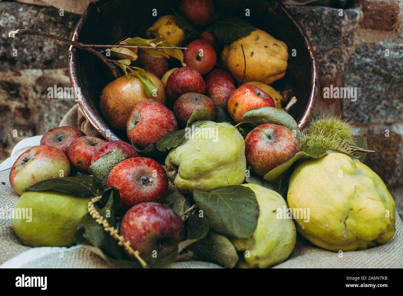 Assortimento di autunno raw stagionali di frutta fresca Foto Stock