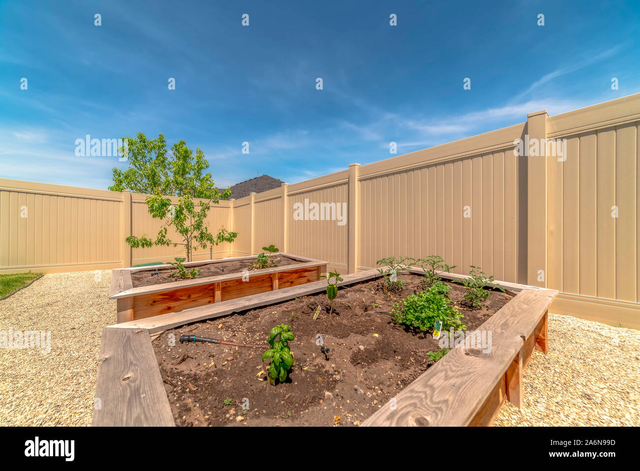 Coltivazione di verdure in legno da giardino sfoggiato i letti riempiti con terriccio sotto il cielo blu Foto Stock