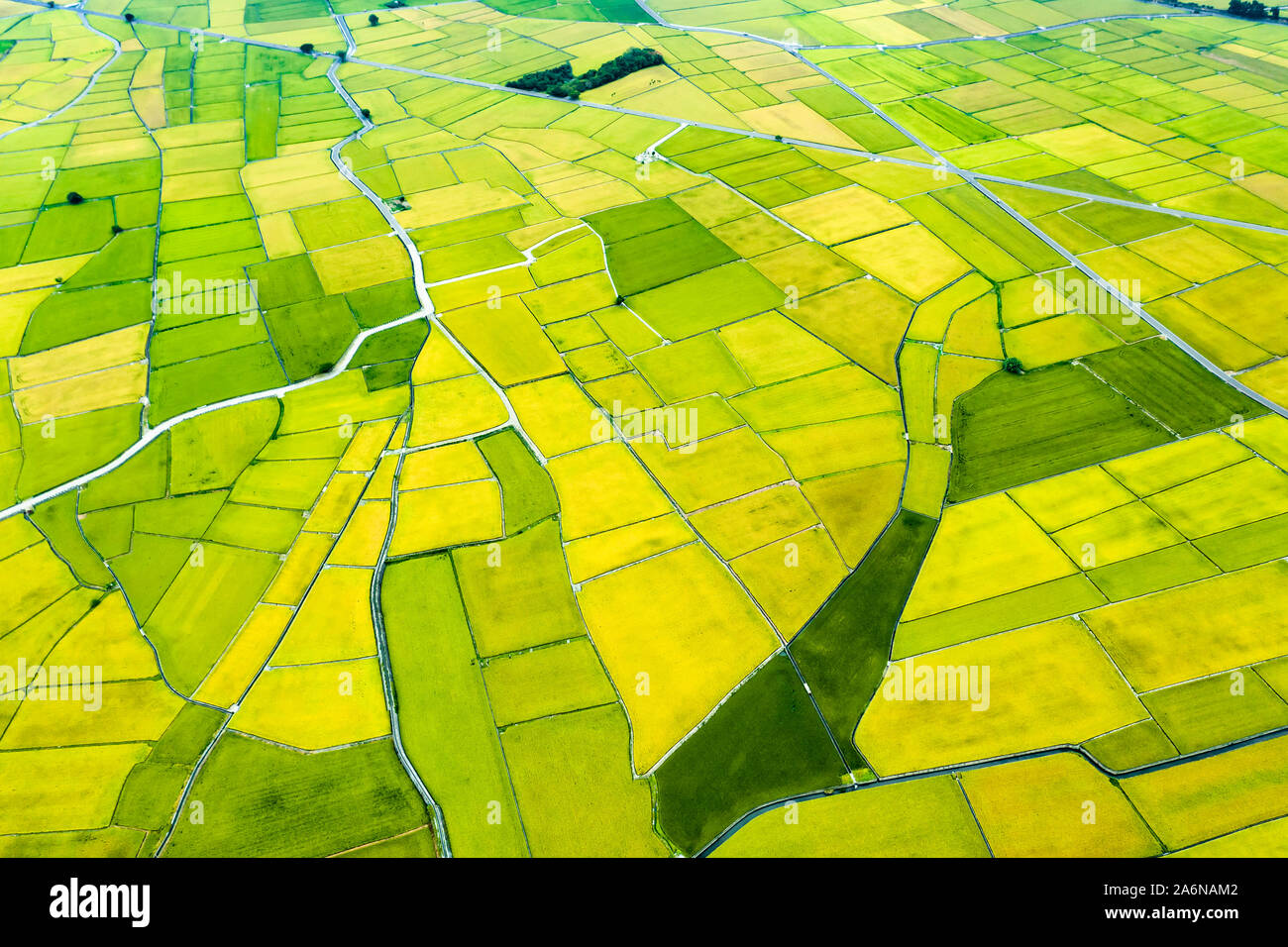 Vista aerea di bellissimi campi di riso in taitung . Taiwan. Foto Stock