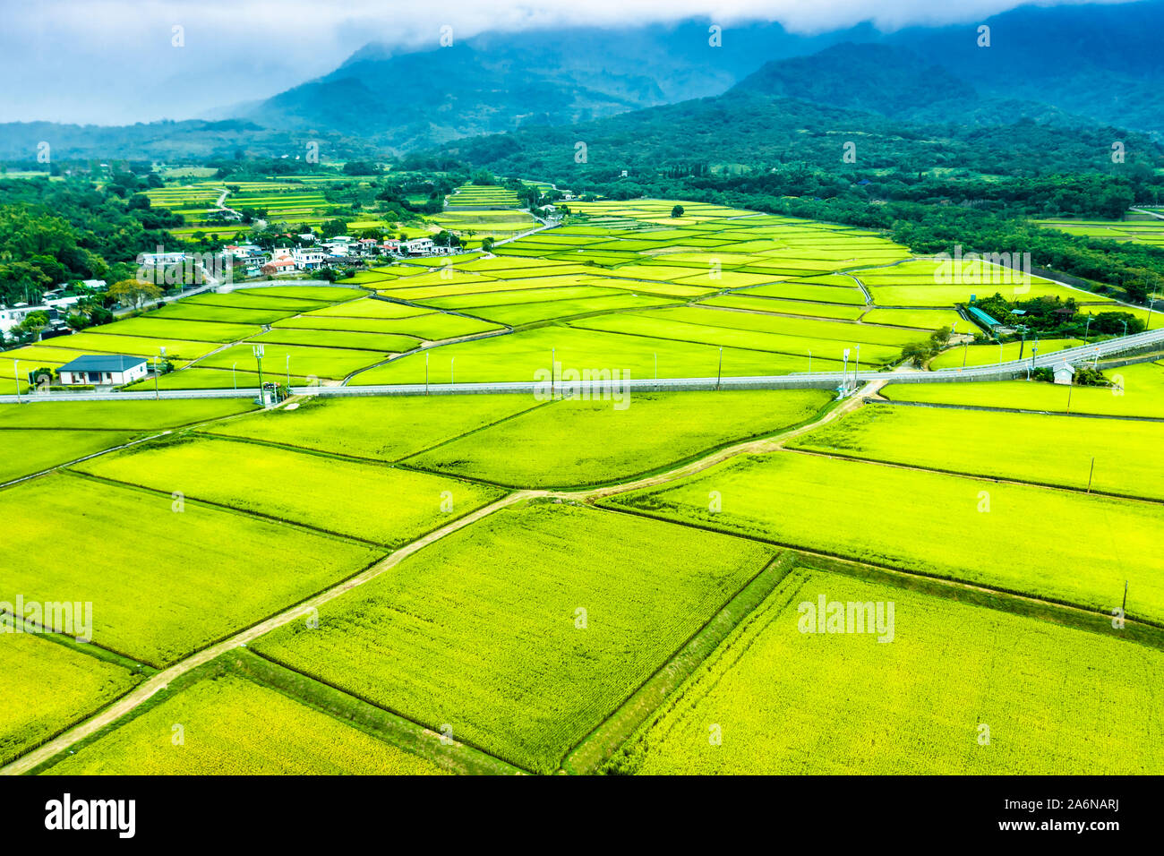 Vista aerea di bellissimi campi di riso in taitung . Taiwan. Foto Stock
