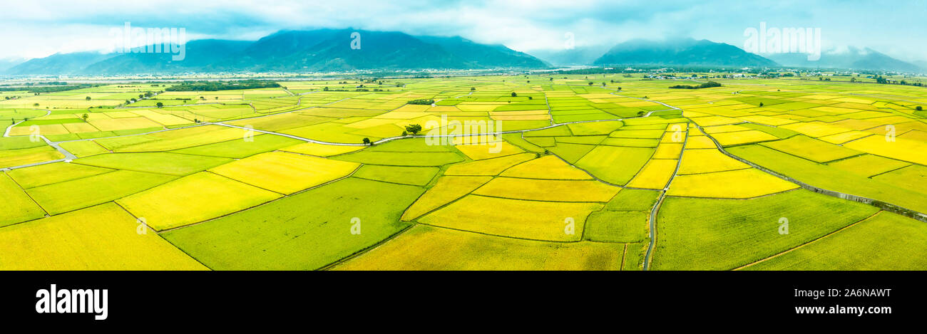 Vista aerea di bellissimi campi di riso in taitung . Taiwan. Foto Stock