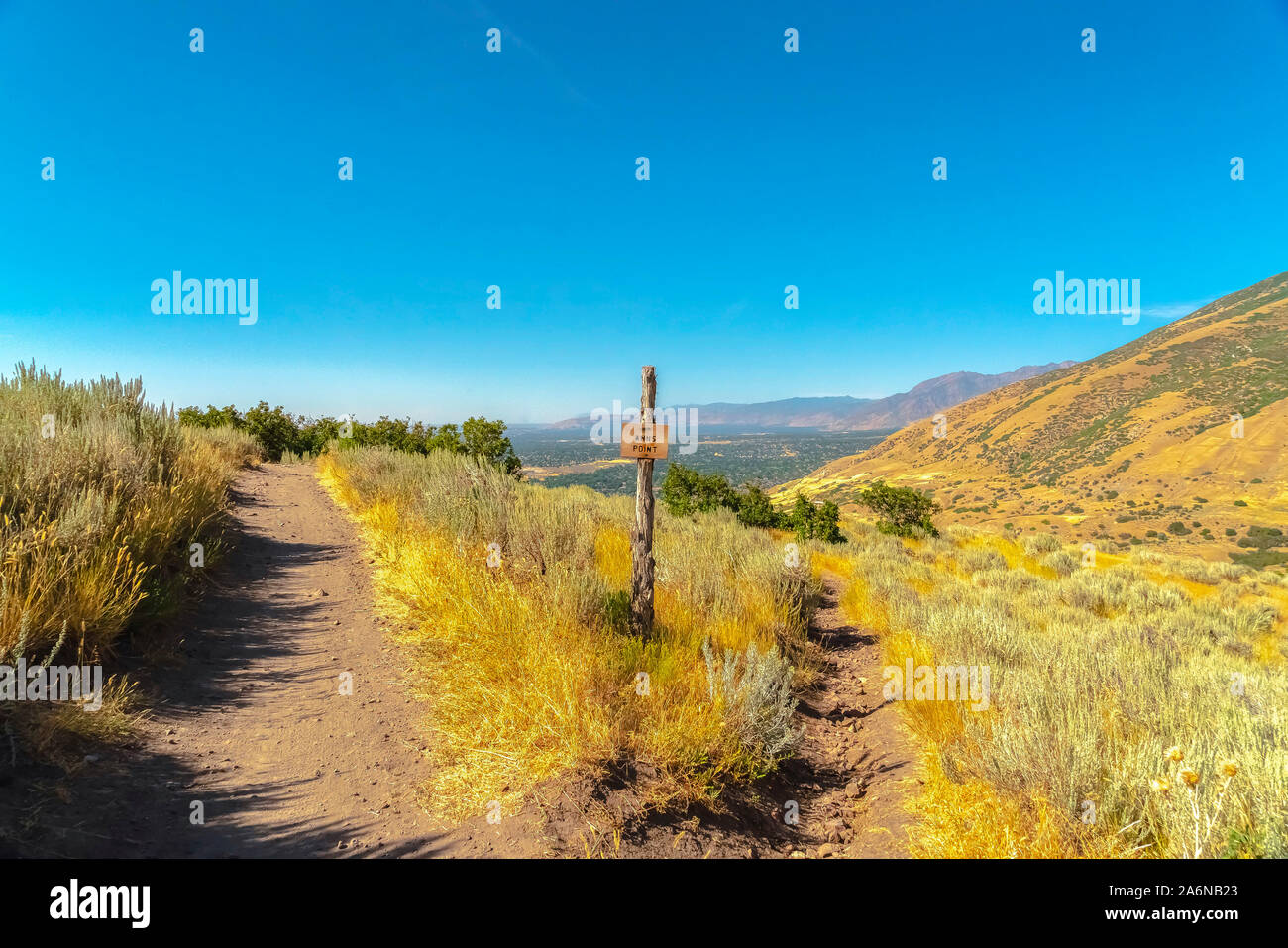 Punto di RNA escursionismo e mountain bike trail con due sole strade sterrate in mezzo alle erbe Foto Stock