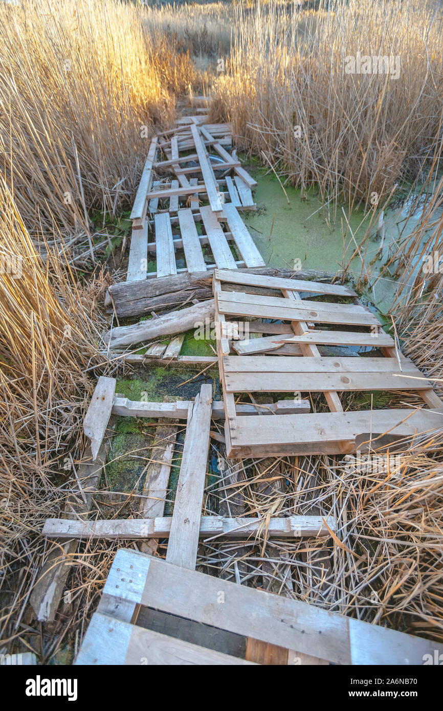 Ponte fatto dal pallet in una zona paludosa vicino Lago Utah Foto Stock