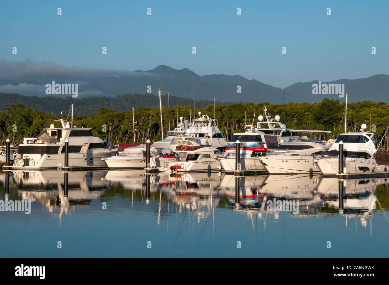 La mattina presto una luce alla Marina su Dickson di ingresso, Port Douglas North Queensland, Australia Foto Stock