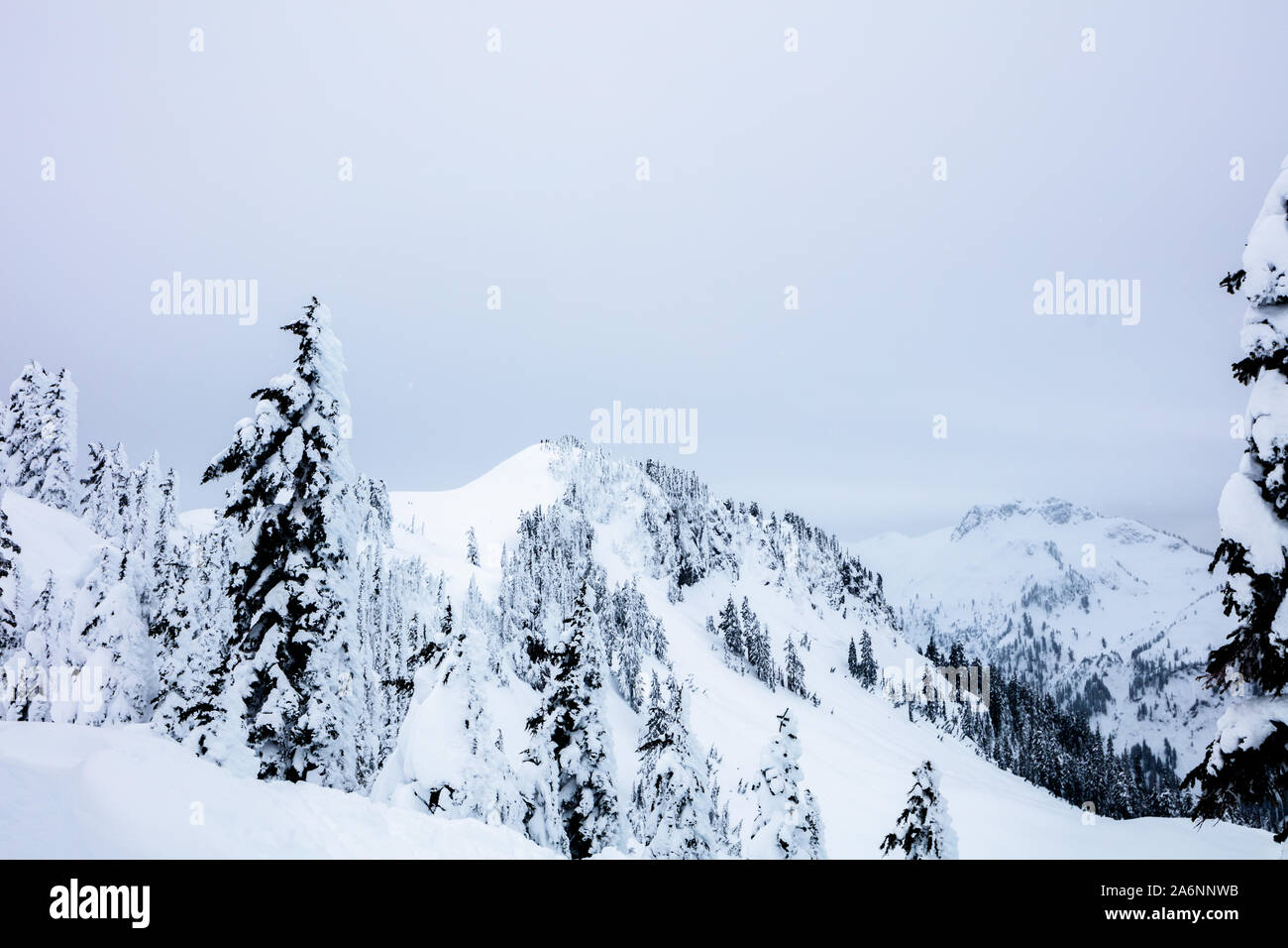 Backcountry neve scarpa percorso lungo la North Cascades. Artist Point, il Monte Baker Snoqualmie foresta nazionale, nello Stato di Washington, USA Foto Stock