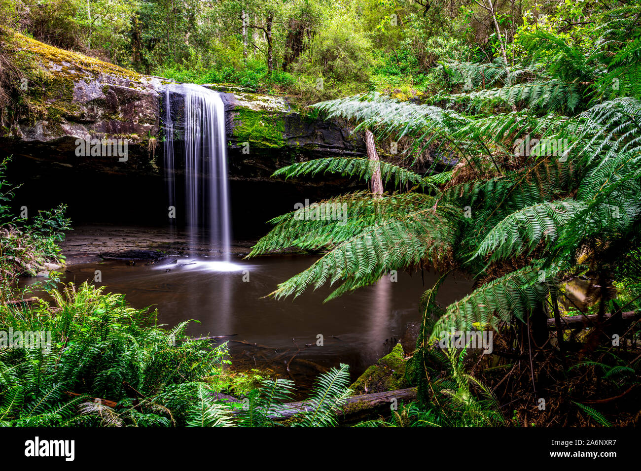 Abbassare Kalimna Falls, nei pressi di Lorne, Victoria, Australia. Questa bellissima cascata è parte della grande Otway National Park e si siede vicino al Grande Oc Foto Stock