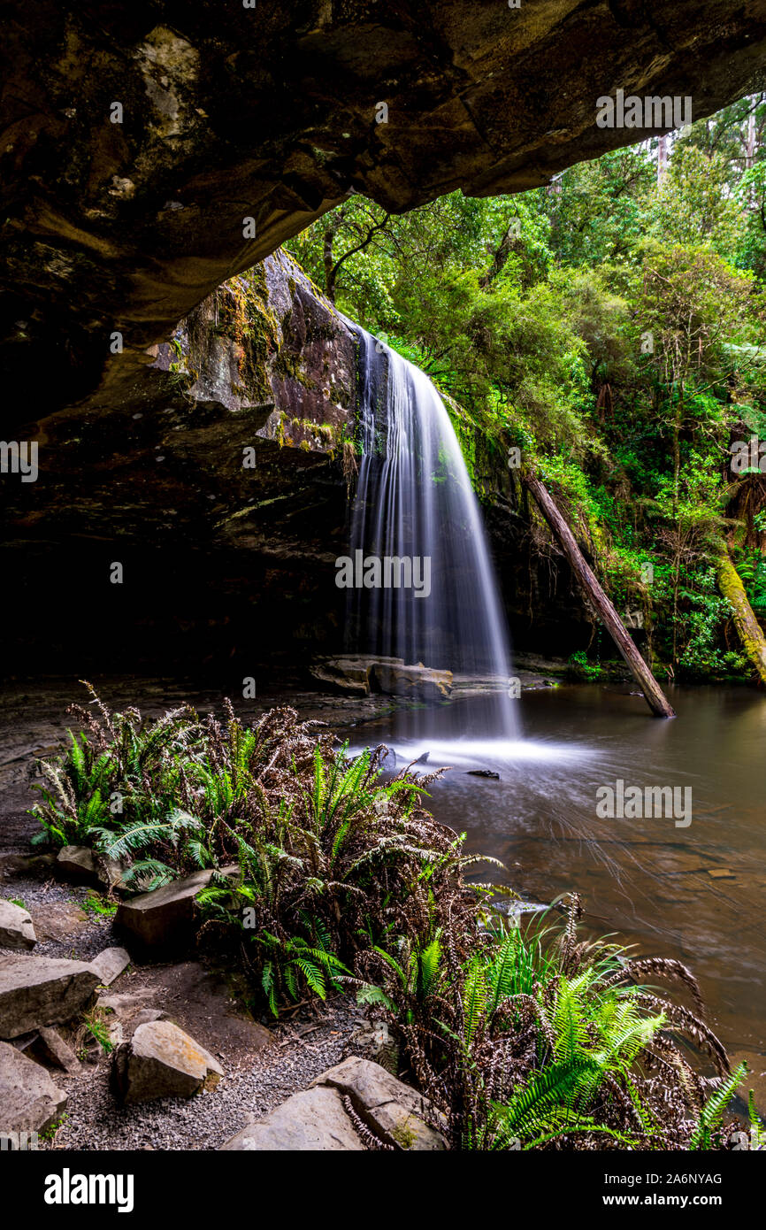 Abbassare Kalimna Falls, nei pressi di Lorne, Victoria, Australia. Questa bellissima cascata è parte della grande Otway National Park e si siede vicino al Grande Oc Foto Stock
