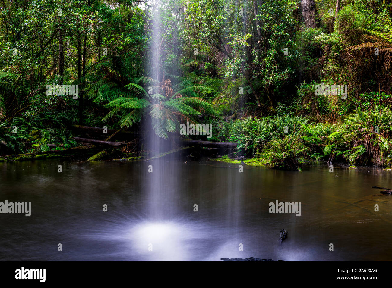 Abbassare Kalimna Falls, nei pressi di Lorne, Victoria, Australia. Questa bellissima cascata è parte della grande Otway National Park e si siede vicino al Grande Oc Foto Stock