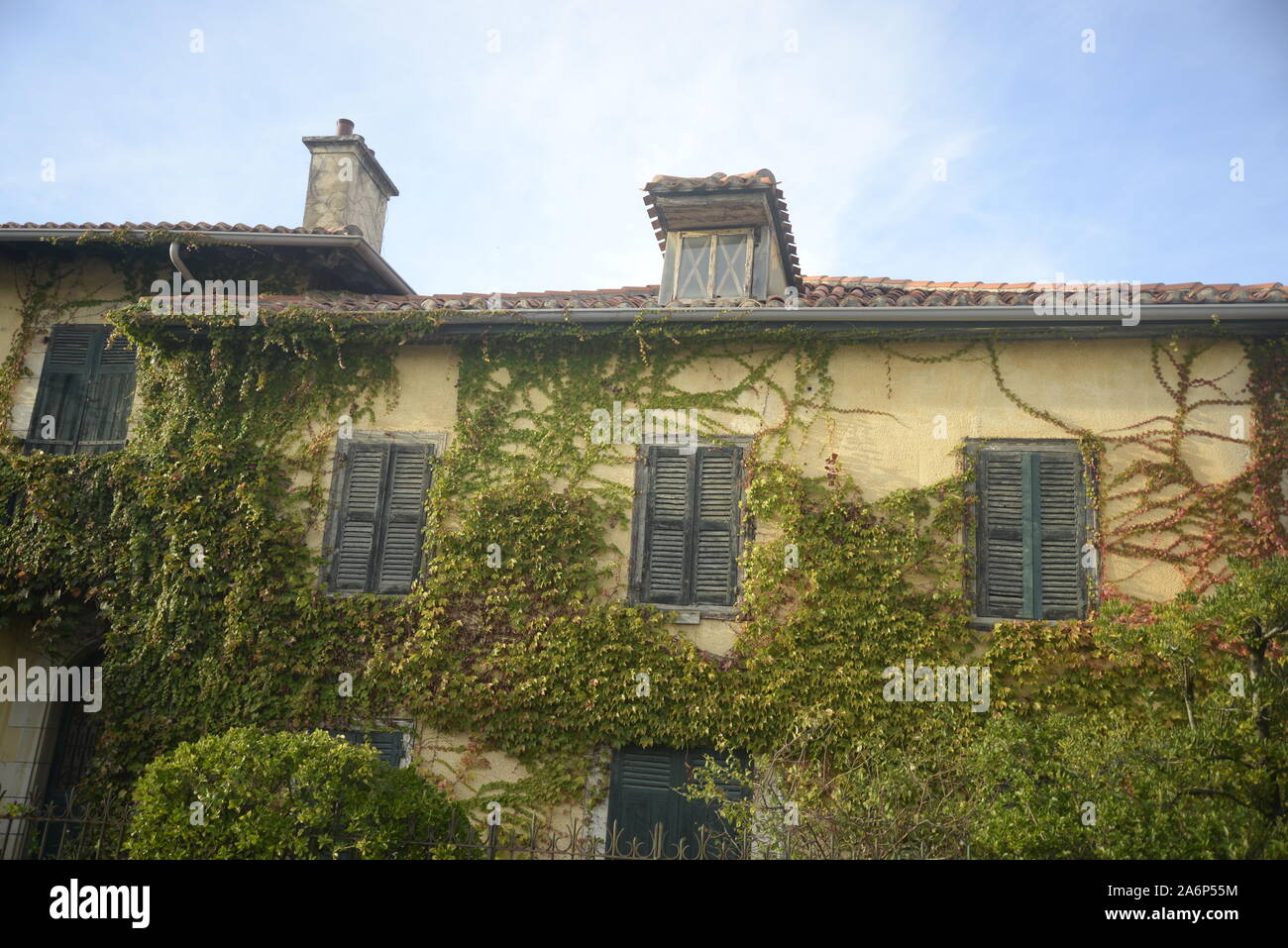 Creepers sul muro di una casa nel sud-ovest della Francia, pasakdek Foto Stock