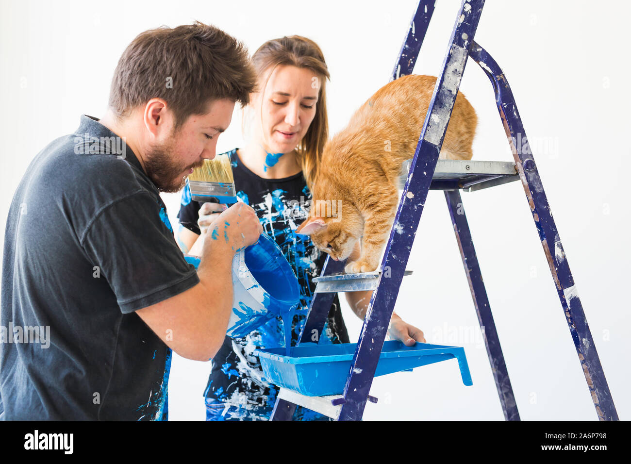 Persone, ristrutturazione e rinnovamento concetto - Ritratto di giovane con cat pour la vernice Foto Stock