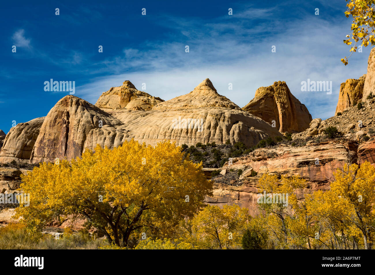Questa è una vista della Cupola Navajo (appena a destra del centro) e i colori dell'autunno un lungo l'Autostrada 24 a Capitol Reef National Park nello Utah, Stati Uniti d'America. Foto Stock