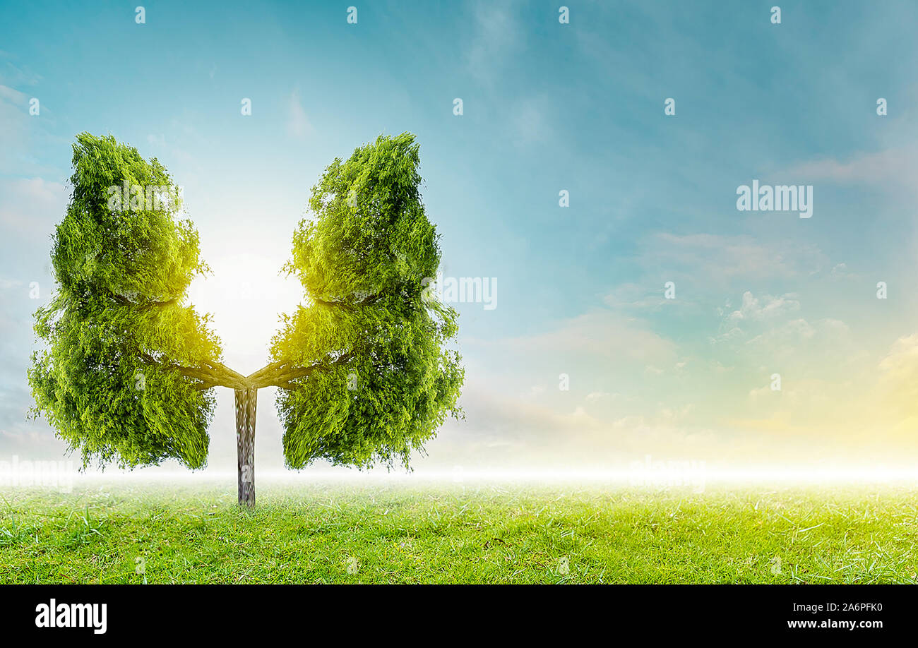 Polmone verde a forma di albero di immagini, concetti medici, autopsia, visualizzazione 3D e animali come un elemento Foto Stock