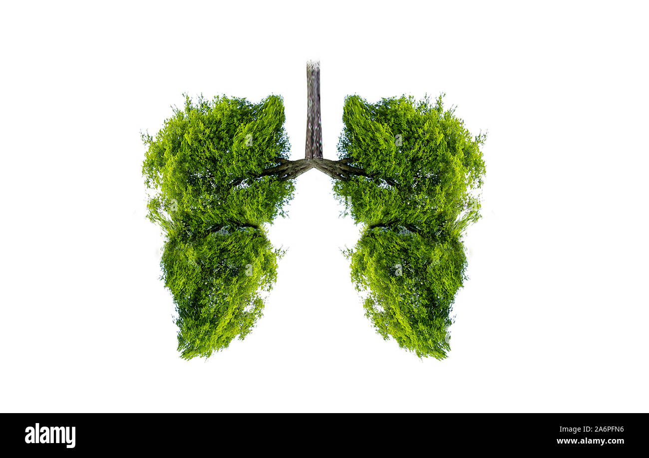 Polmone verde a forma di albero di immagini, concetti medici, autopsia, visualizzazione 3D e animali come un elemento Foto Stock