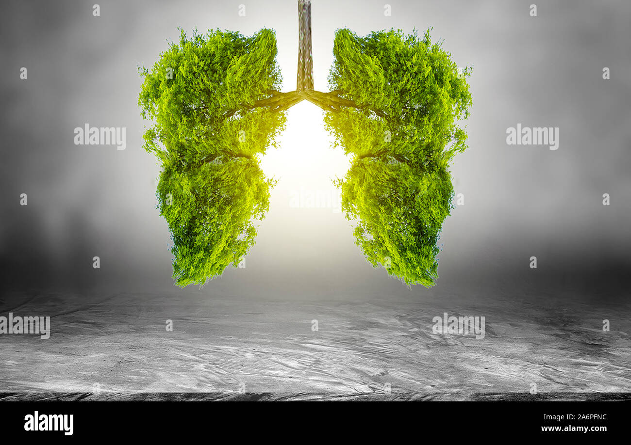 Polmone verde a forma di albero di immagini, concetti medici, autopsia, visualizzazione 3D e animali come un elemento Foto Stock