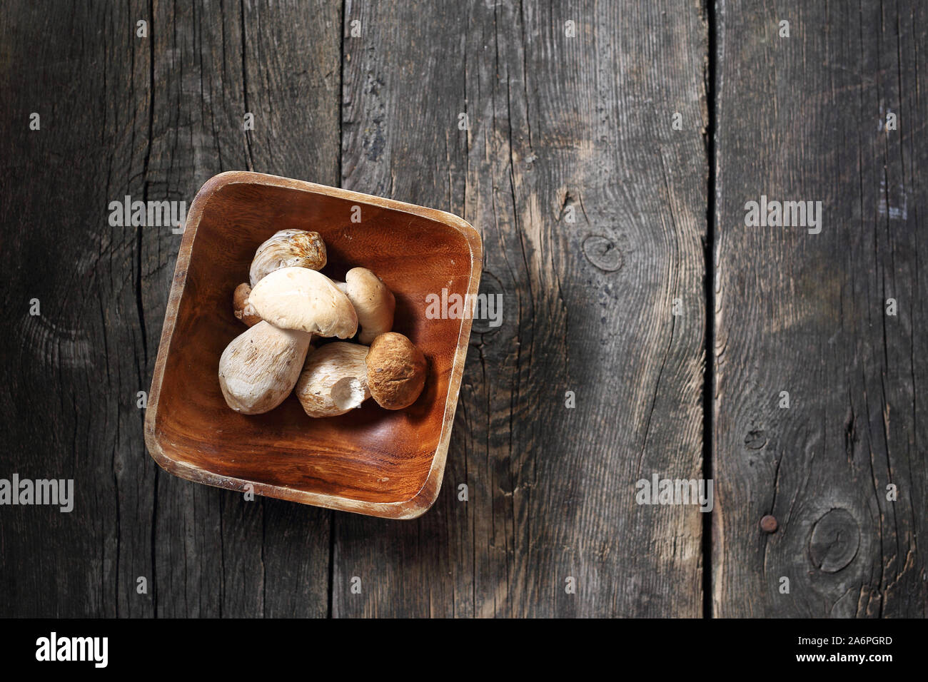 Boletus edulis, foresta di funghi su un sfondo di legno Foto Stock