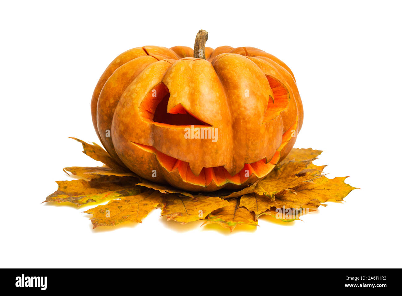 Zucca di Halloween. Zucca di Halloween jack testa lanterna isolati su sfondo bianco. Foto Stock