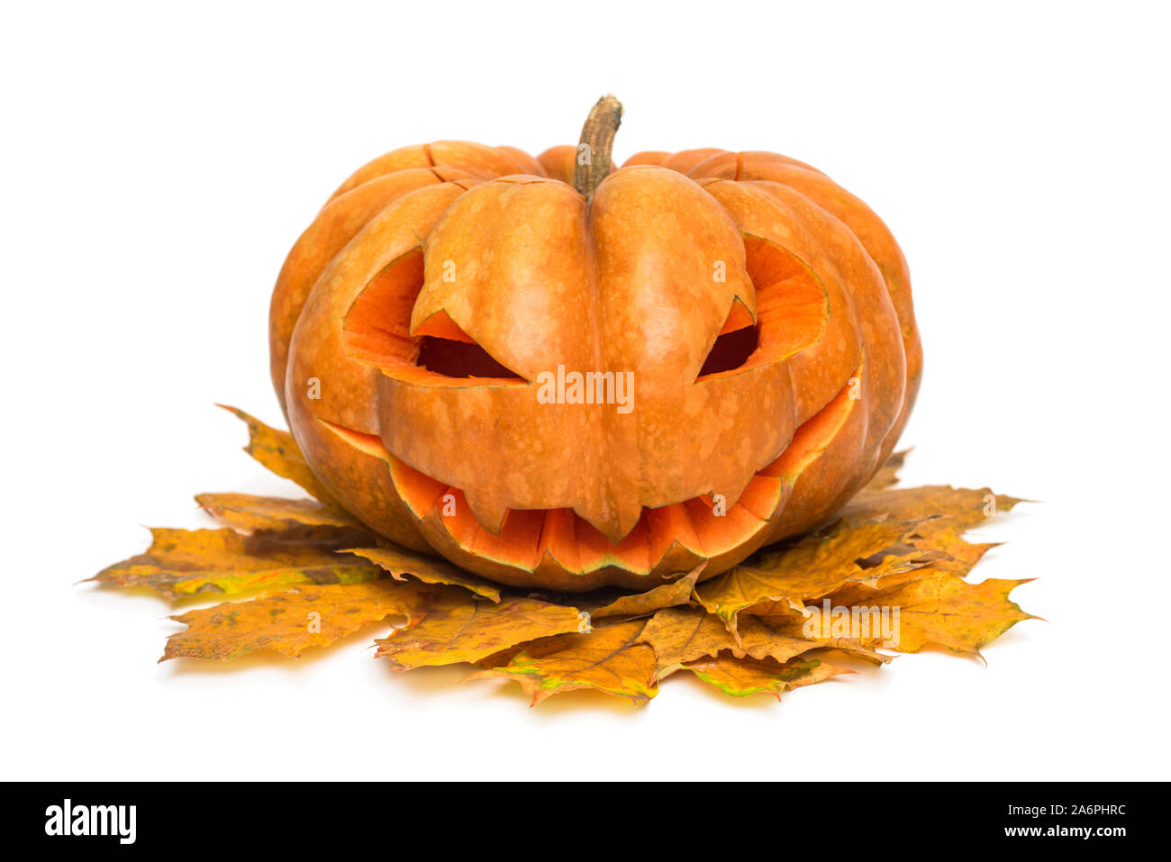 Zucca di Halloween. Zucca di Halloween jack testa lanterna isolati su sfondo bianco. Foto Stock