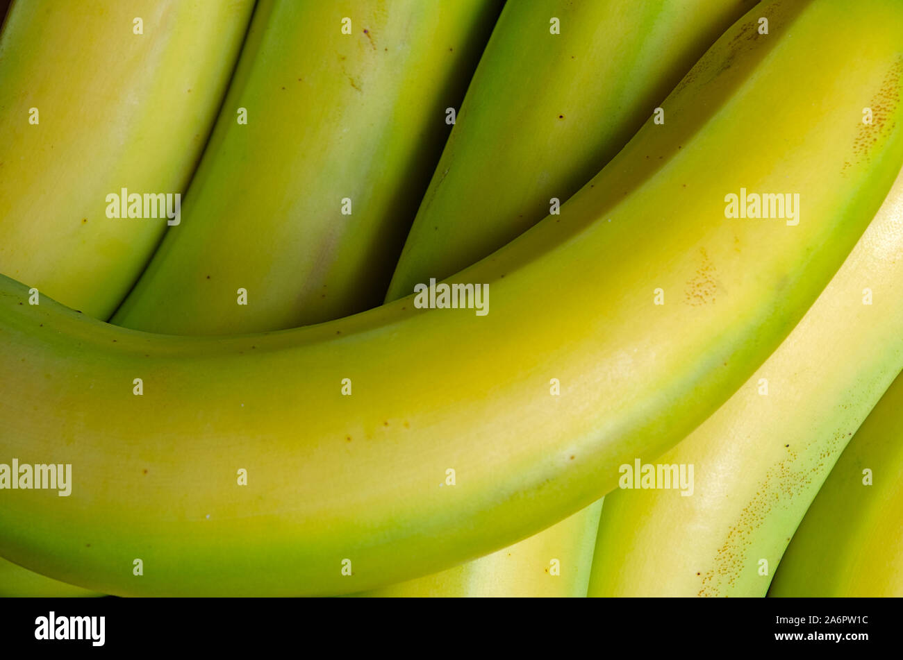 Una inquadratura ravvicinata delle banane verdi. Cibi e bevande tema Foto Stock