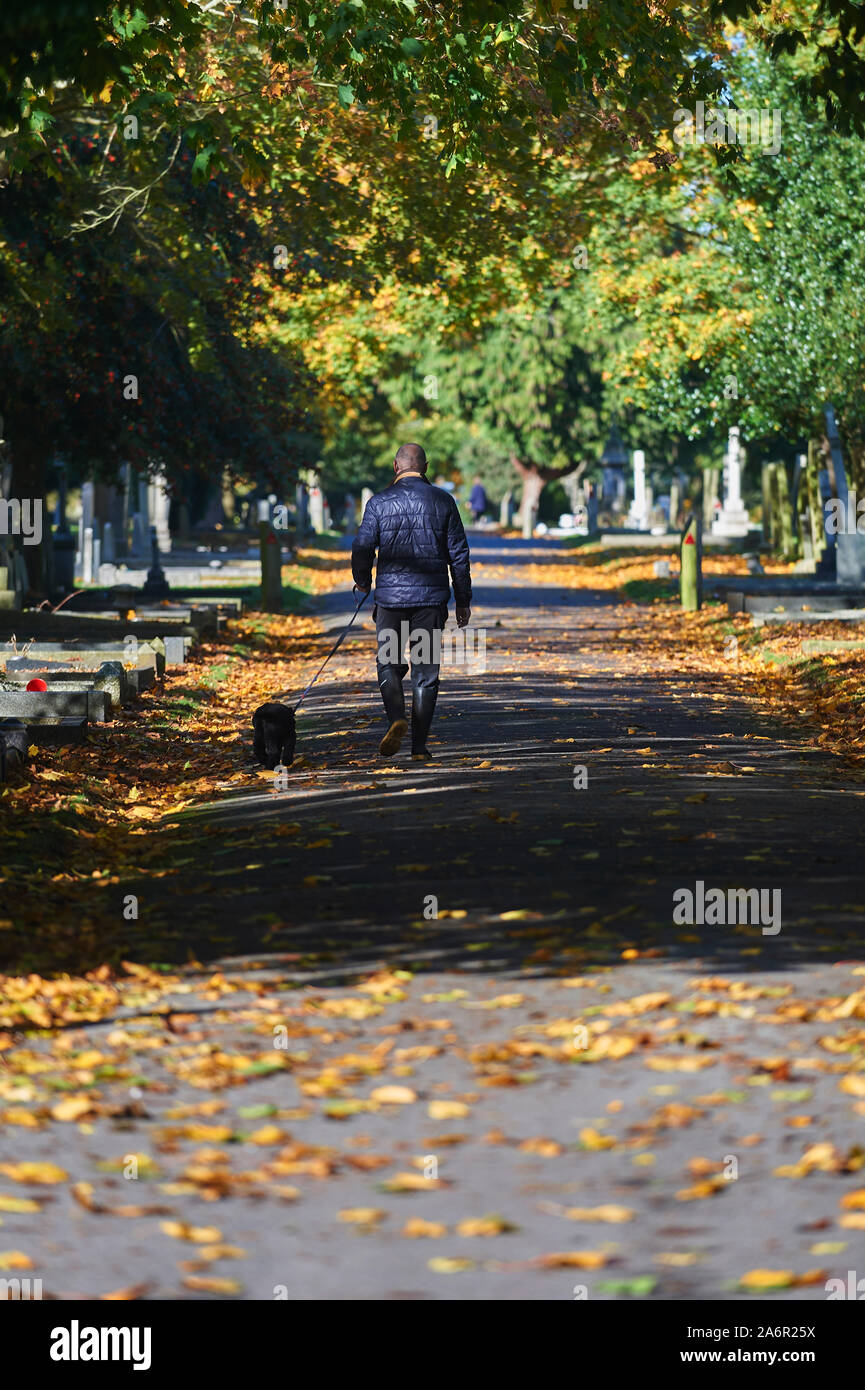 Uomo che cammina il suo cane attraverso le foglie di autunno in un cimitero del paese Foto Stock