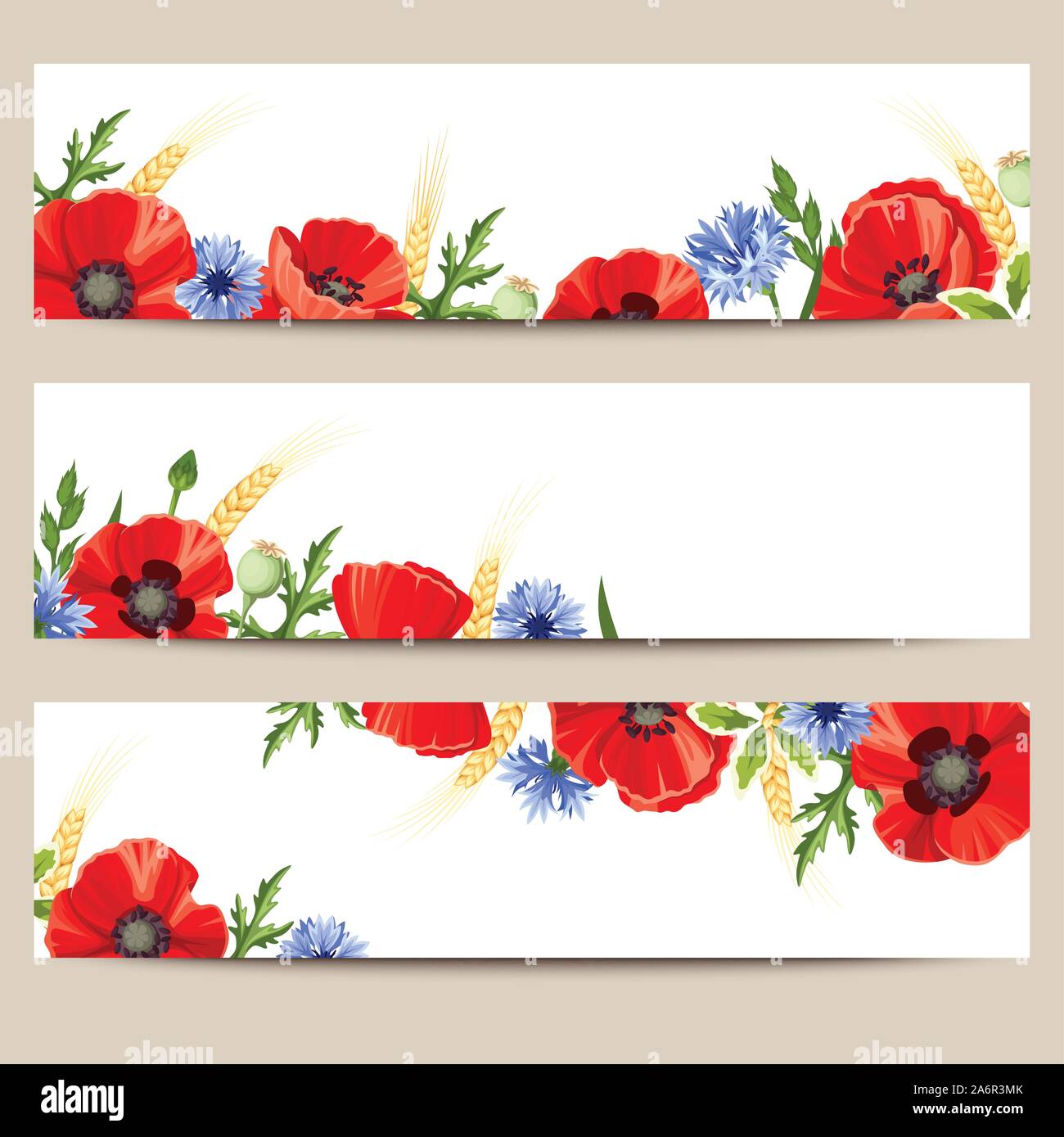 Fiori Rossi E Rosa Del Papavero In Un Campo, Papavero Rosso Fotografia - Foto 5