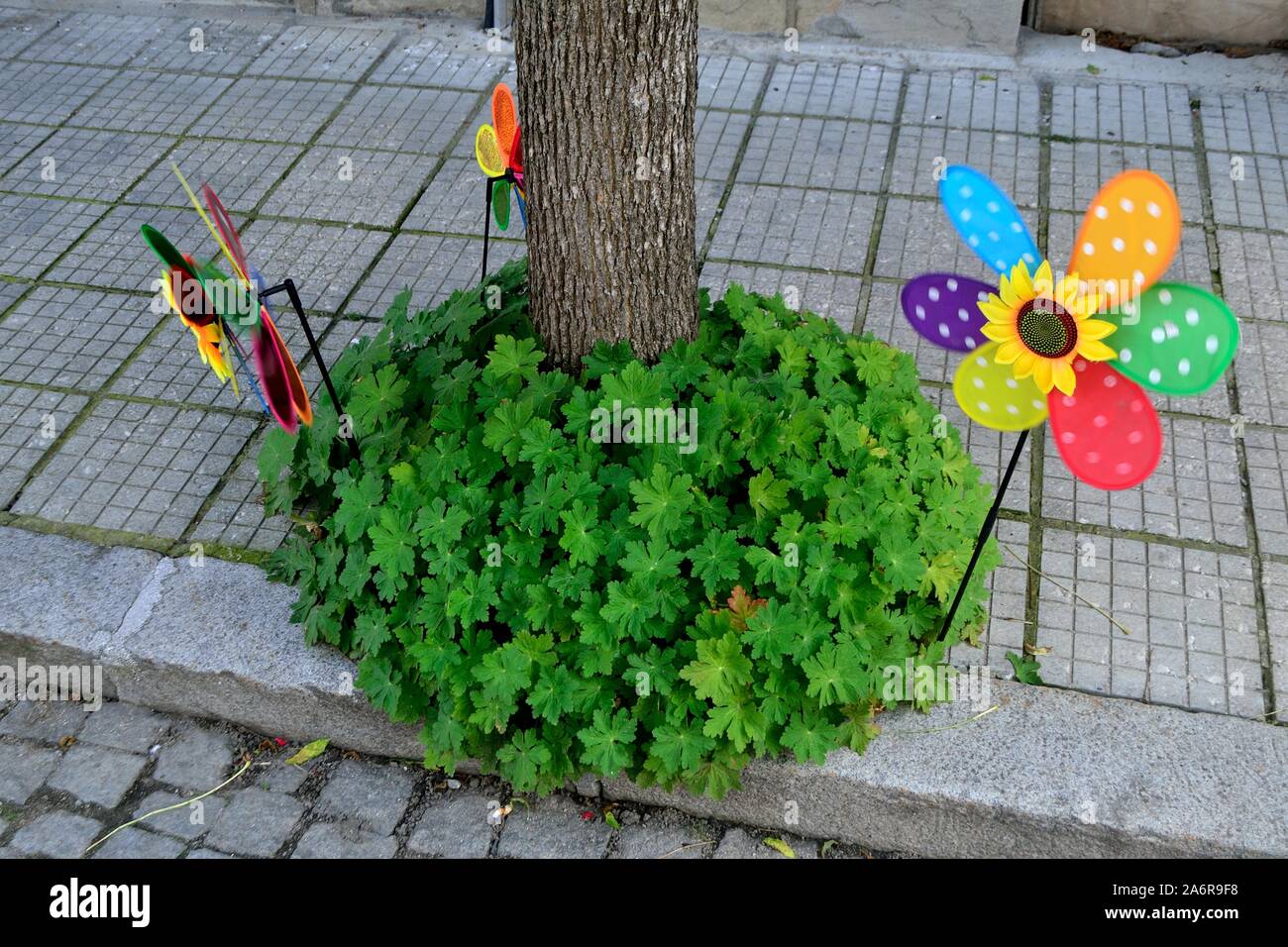 Pinwheels - Mercato tradizionale in TRYAVNA - Balkan mountais - Bulgaria Foto Stock